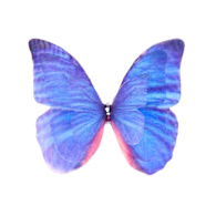 c*n様 POTETE butterfly clip pink✖️blue バタ Blue Silk Butterfly Hair Clip Barrette Wedding Accessory | Oana