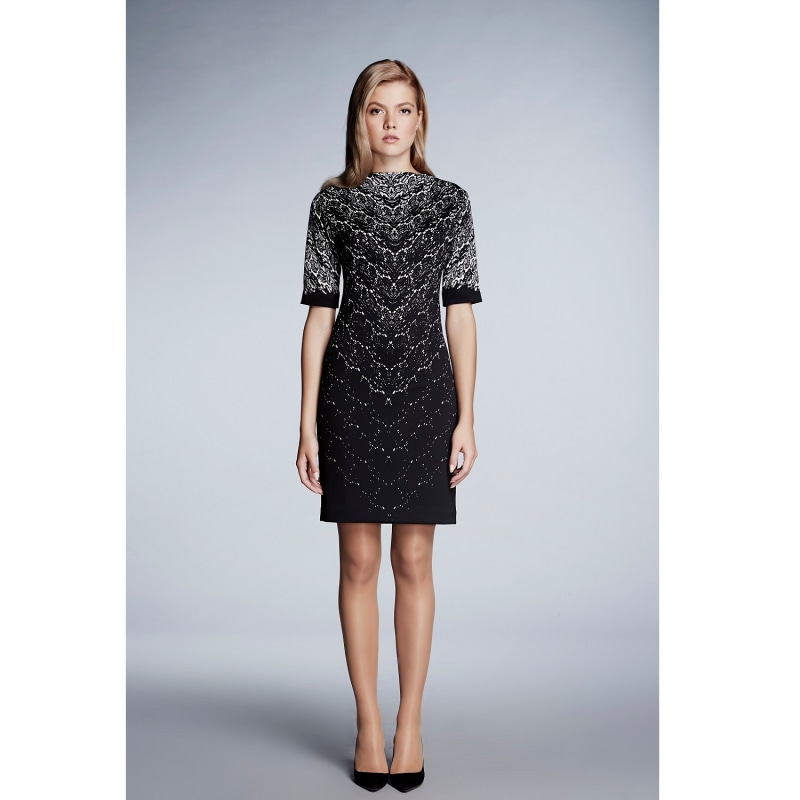 Thumbnail of Printed Lace Monochrome Fitted Dress image