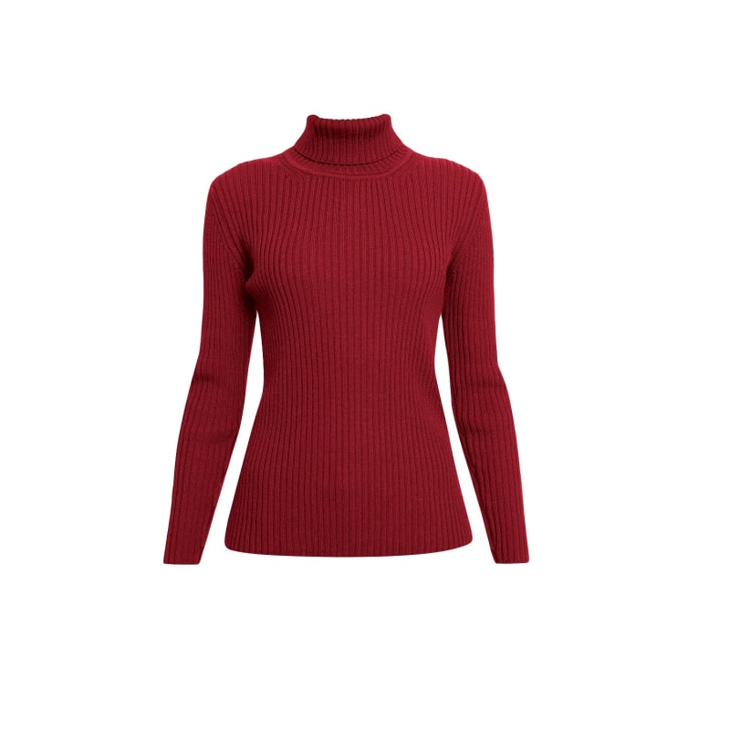 Red ribbed turtleneck sweater top