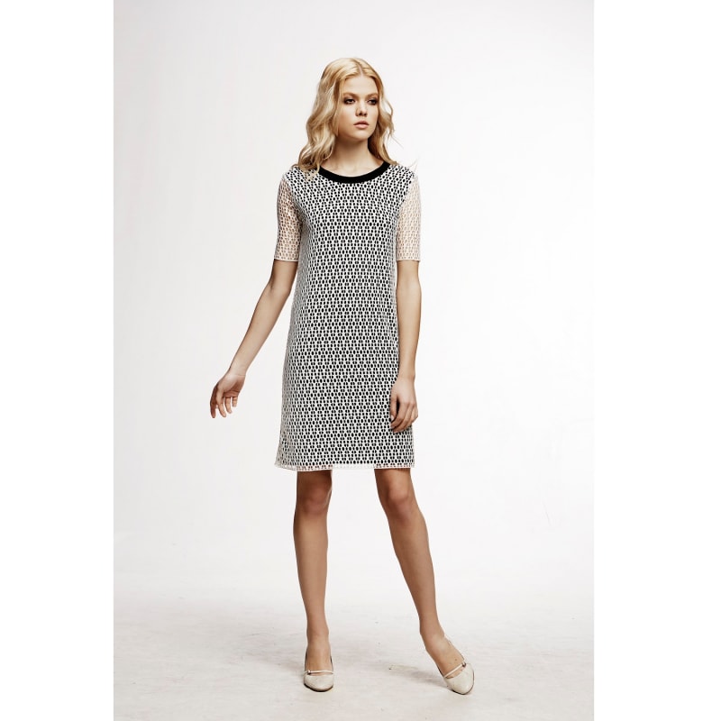 Donna Lace Overlay Dress Sheer Sleeves Rumour London Wolf Badger