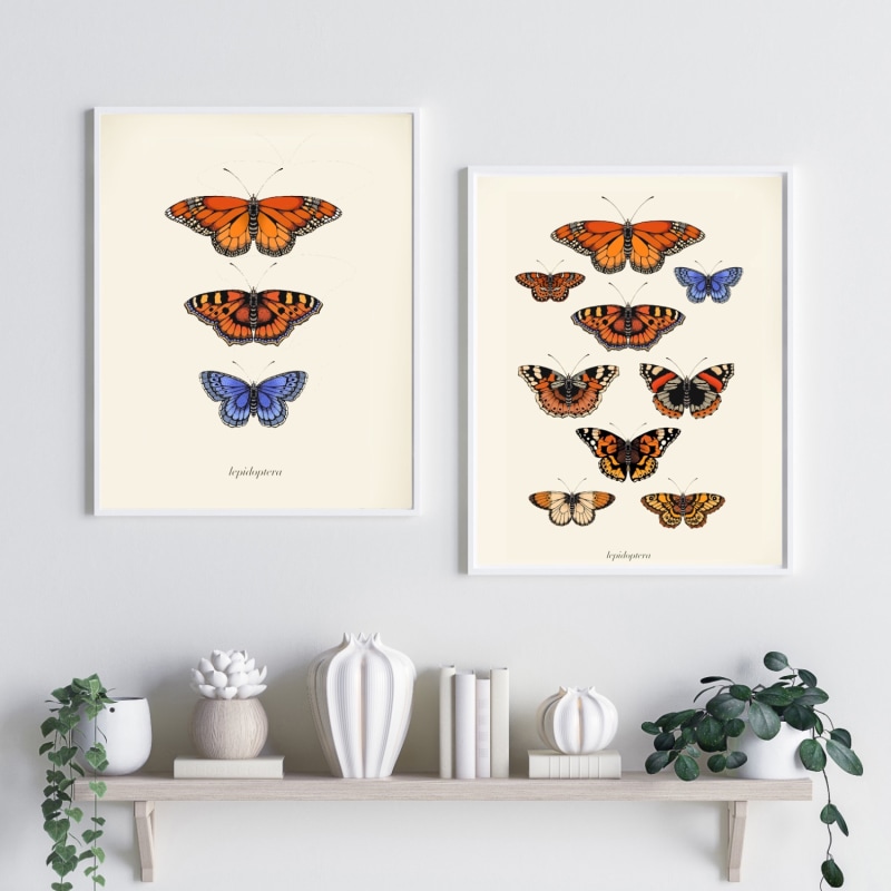 Thumbnail of 'Antique British Butterflies I' - Fine Art Print A5 image