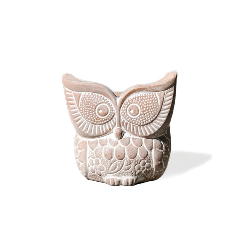 Thumbnail of Terracotta Pot - Big Eye Owl image