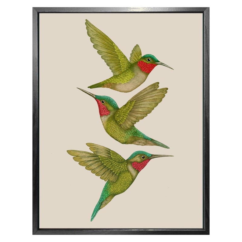 Thumbnail of 'Antique Tropical Hummingbirds' Cream Fine Art Print S image