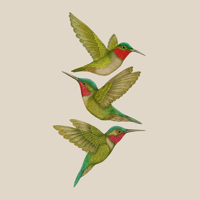 Thumbnail of 'Antique Tropical Hummingbirds' Cream Fine Art Print S image