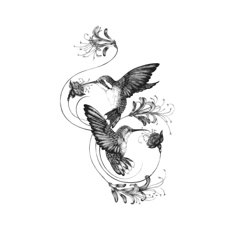 Thumbnail of 'Hummingbirds & Honeysuckle' Fine Art Print A4 image