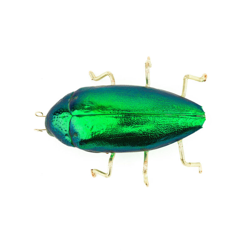 Beetle Insect Special Metallic Green Recycled Natural Scarab Brooch oanasavu.creations Wolf Badger
