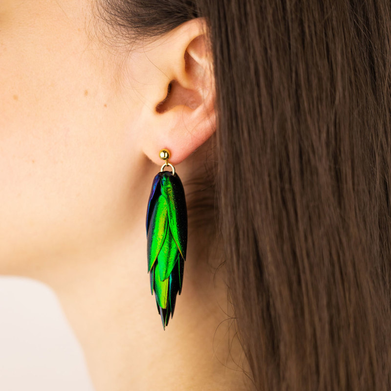 Beetle wing earrings top