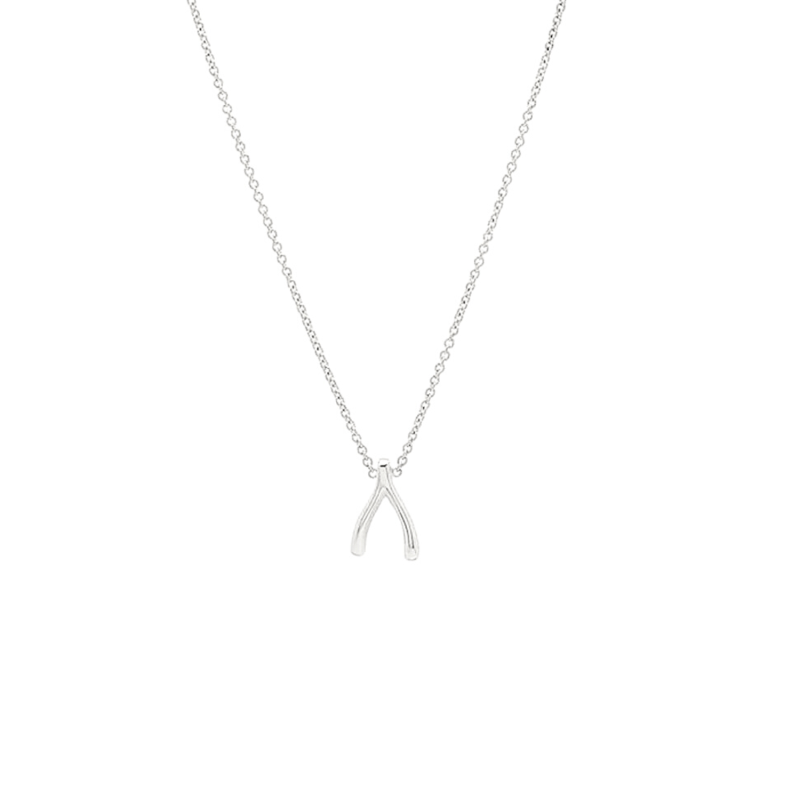 Sterling forever wishbone necklace deals