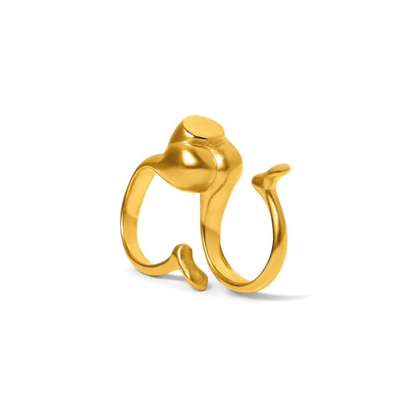 Thumbnail of Butt Double Ring - Gold image