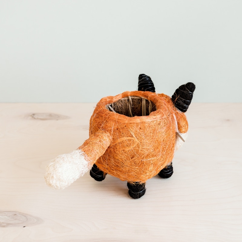 Thumbnail of Coco Coir Animal Planter - Fox image