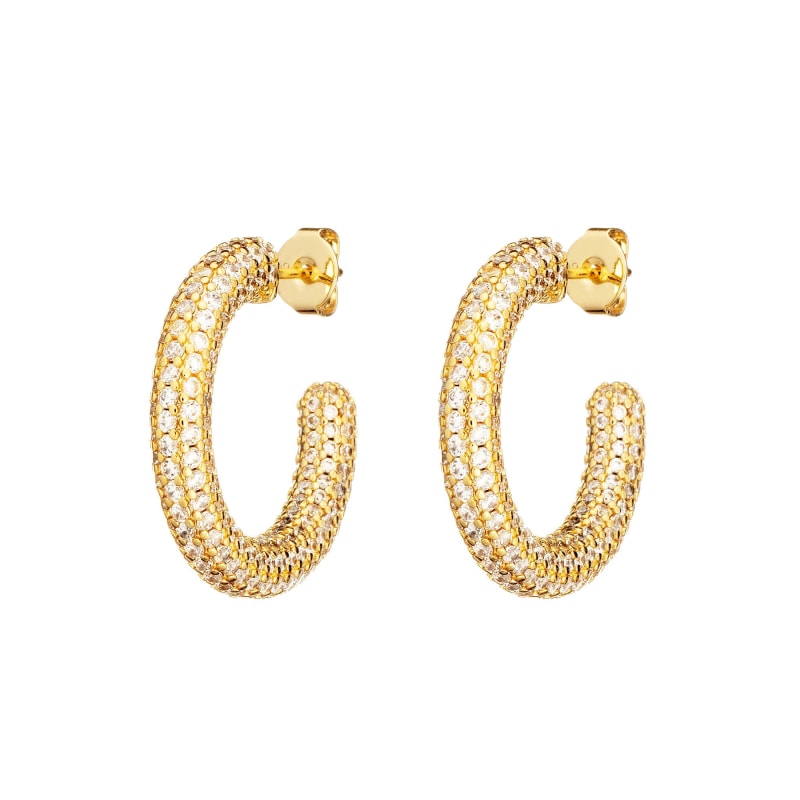 Diamond encrusted hoops best sale