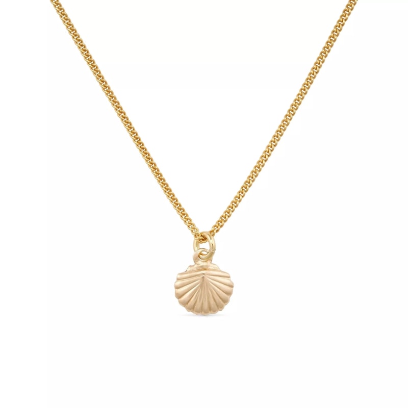 Solid gold shell necklace hotsell