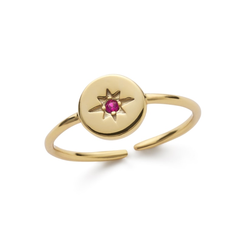 Dainty Star Gold Stacking Ring by Elk Bloom