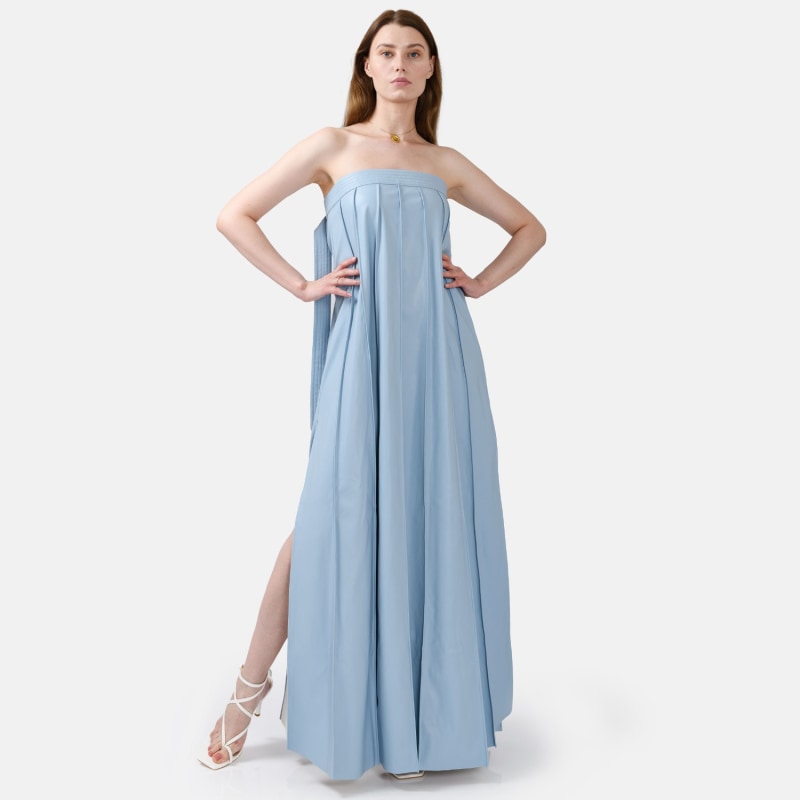 Strapless Cinch Waist Pleated Maxi Dresses-Blue [Pre Order] main image 0