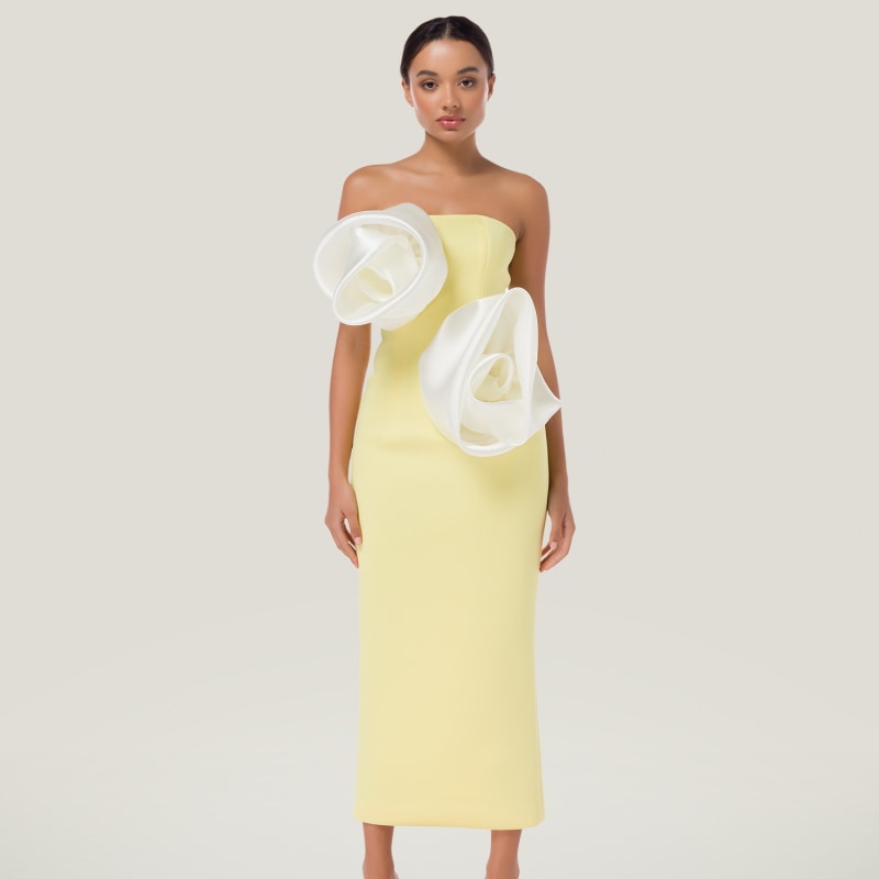 Romi structured midi dress sales