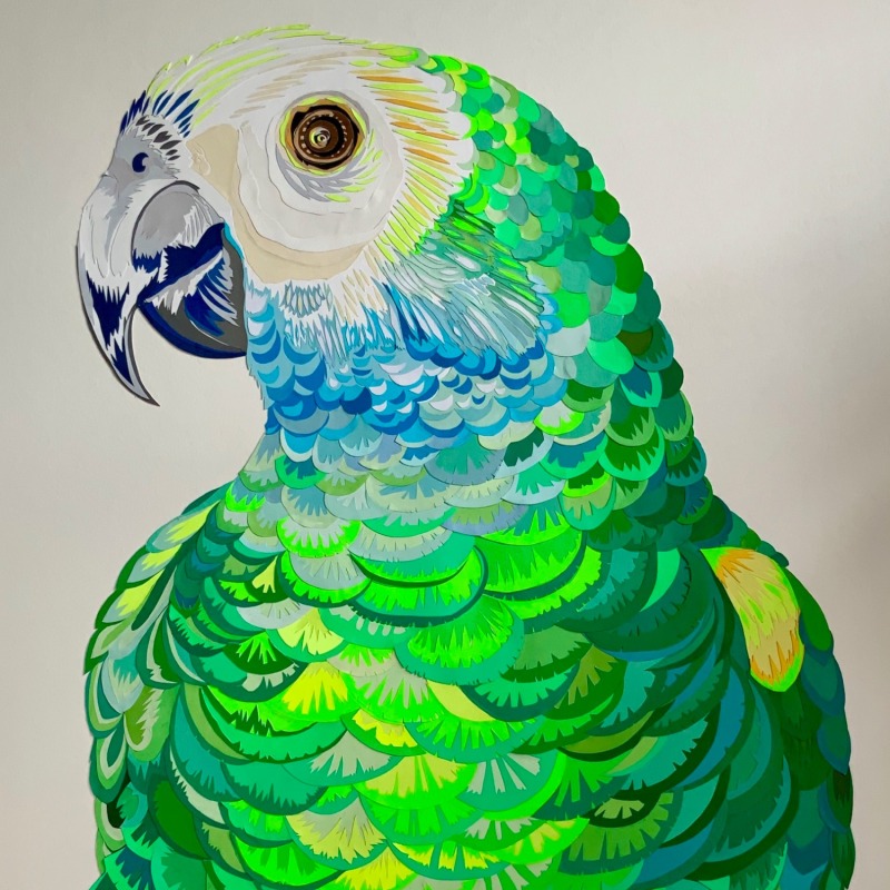 Thumbnail of Parrot Portrait Original Papercut Artwork image