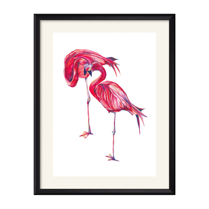 Thumbnail of Flamingos Art Print image
