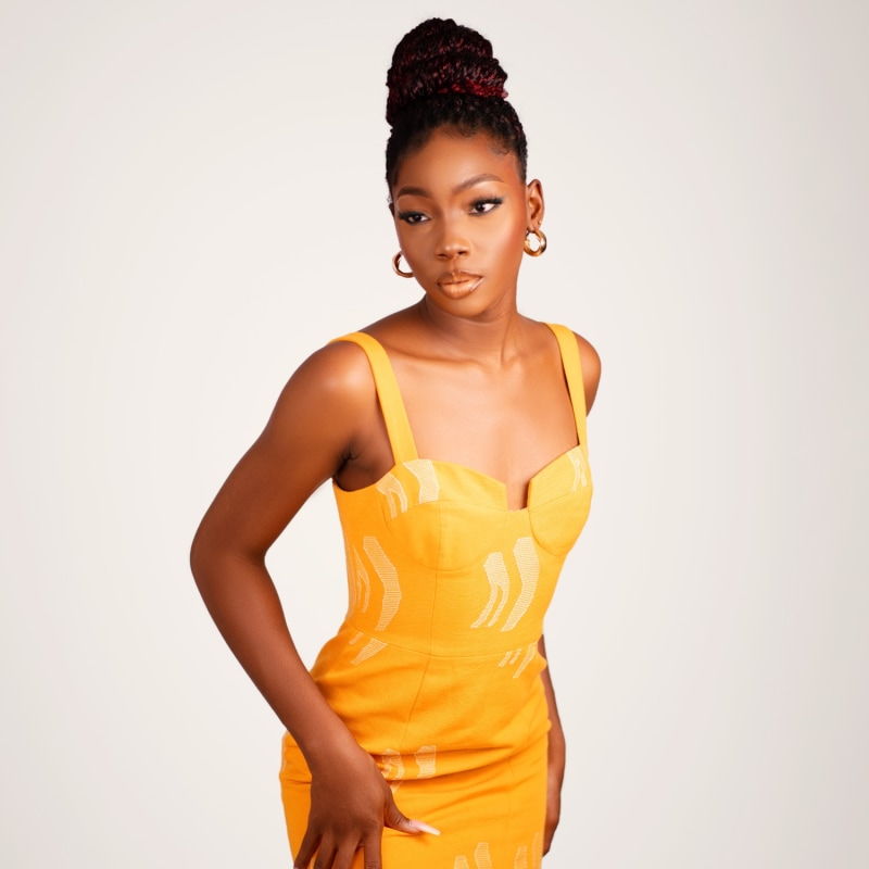 Nnọọ Cotton & Silk Blend Akwete Dress | Aorah | Wolf & Badger