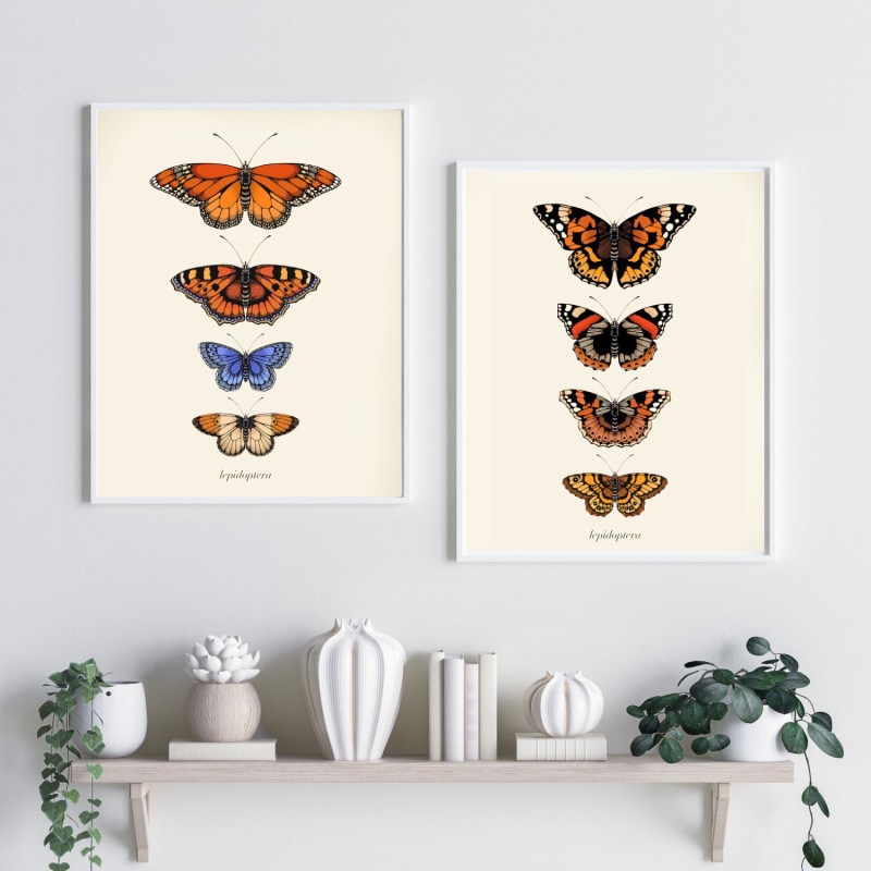 Thumbnail of 'Antique British Butterflies Iv' Fine Art Print A3 image