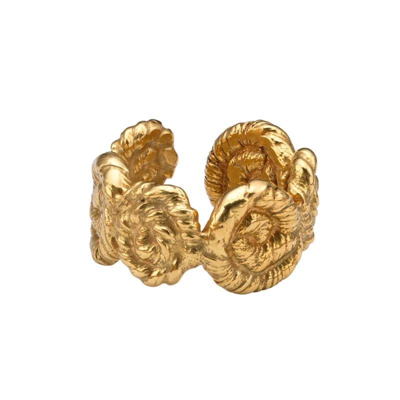 Thumbnail of Nautilus Chunky Ring Gold image