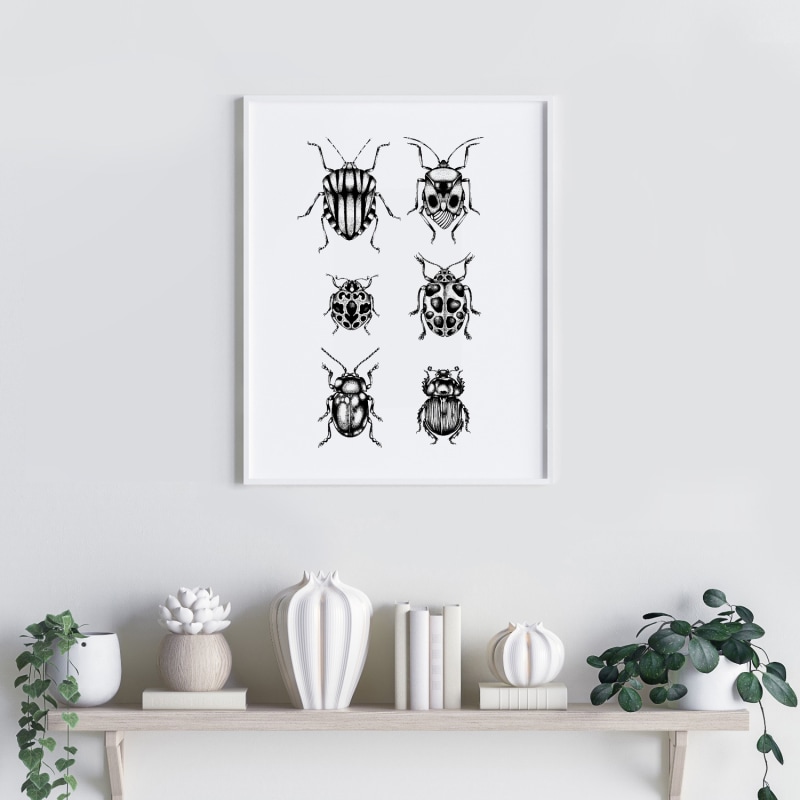 Thumbnail of 'British Beetles' Fine Art Print A3 image