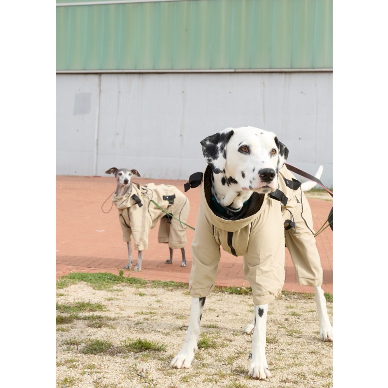 Windbreaker for dogs 2025