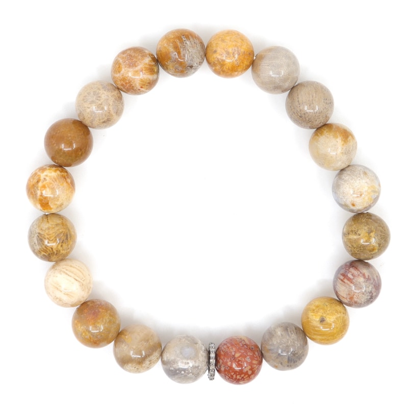 Fossil Coral Diamonds Beaded Bracelet Shar Oke Wolf Badger