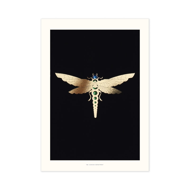 Thumbnail of Zellandine's Dragonfly - A3 Gold Art Print image