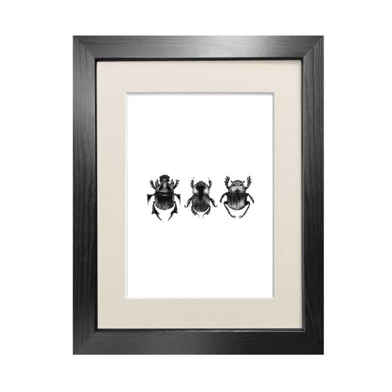 Thumbnail of Dung Beetles Fine Art Print A4 image