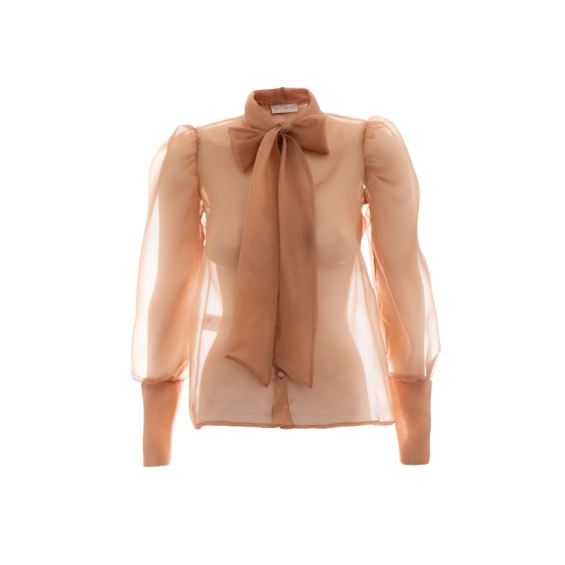 Thumbnail of Organza Nude Blouse image