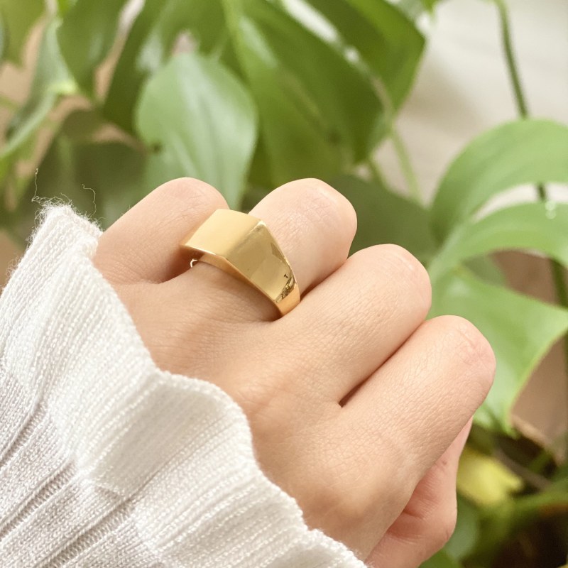 Chunky Signet Ring In 18ct Gold Vermeil Olivia Cooper Wolf Badger