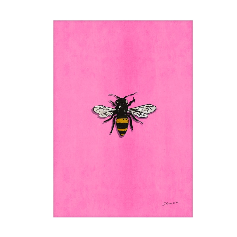 Thumbnail of The Bee Signed Print image