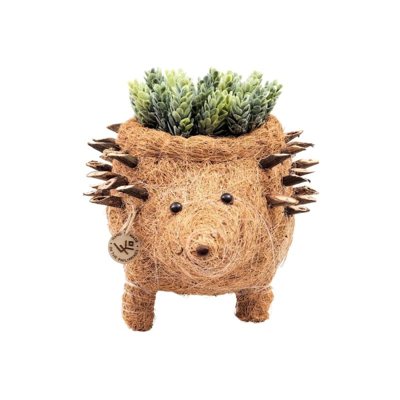 Thumbnail of Coco Coir Animal Planter Hedgehog image