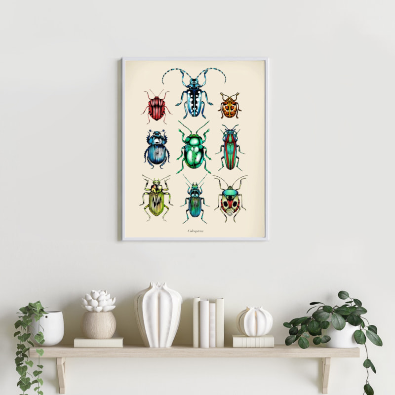 Thumbnail of 'Antique Tropical Beetles' Fine Art Print A4 image