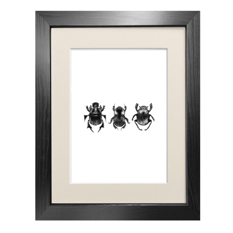 Thumbnail of 'Dung Beetles' - Fine Art Print A3 image