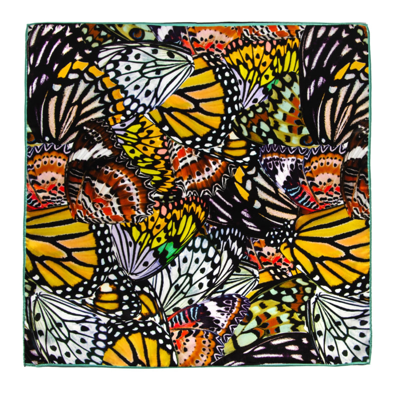 Thumbnail of Scarf Butterfly Big image