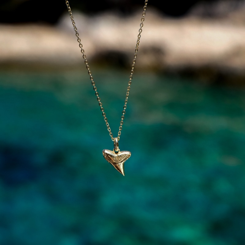 Shark tooth pendant gold hotsell