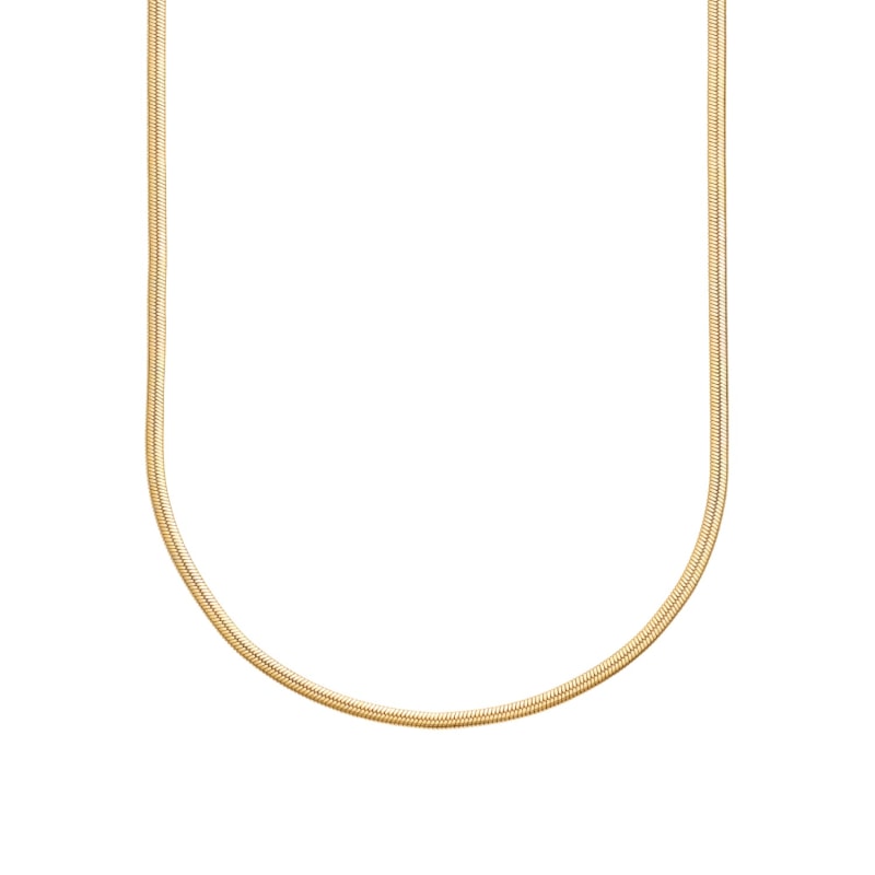 Gold Mini Flat Snake Chain Necklace Scream Pretty Wolf Badger