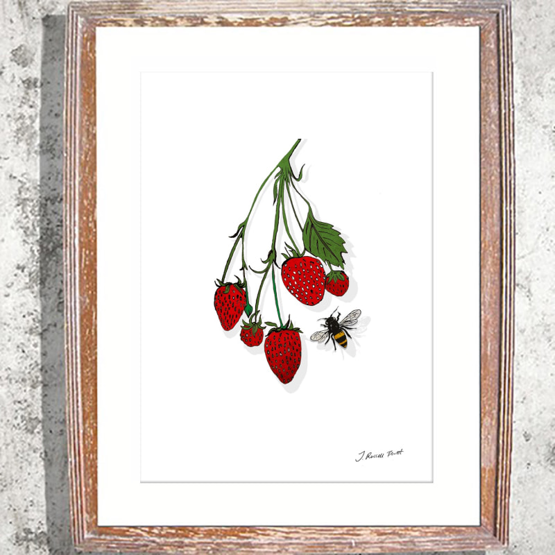 Thumbnail of "The Strawberry Vine" Signed Print image