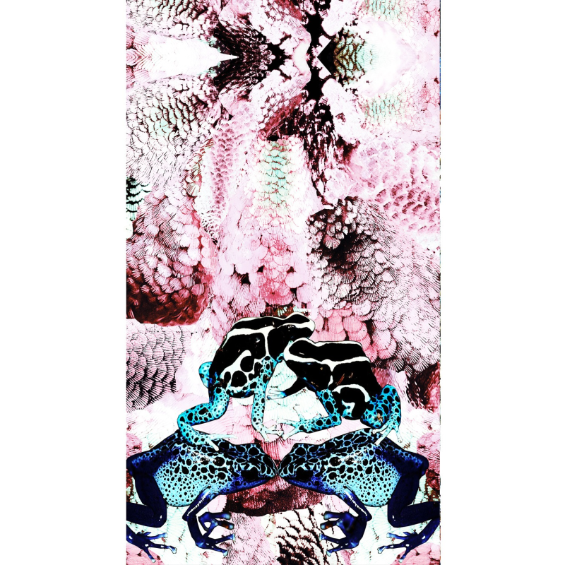 Thumbnail of Frogs & Feathers Pink Large Silk Scarf image