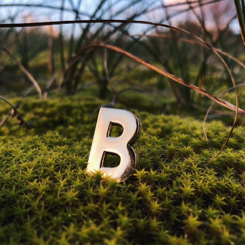 Thumbnail of Golden Letter B Pin image