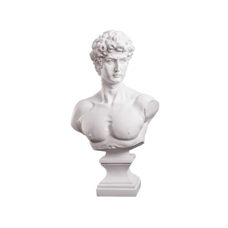 Bust of David by Michelangelo. 45x60cm - Sale of art statues