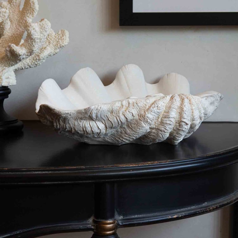 Large White Clam Shell Dish Rockett St George Wolf Badger