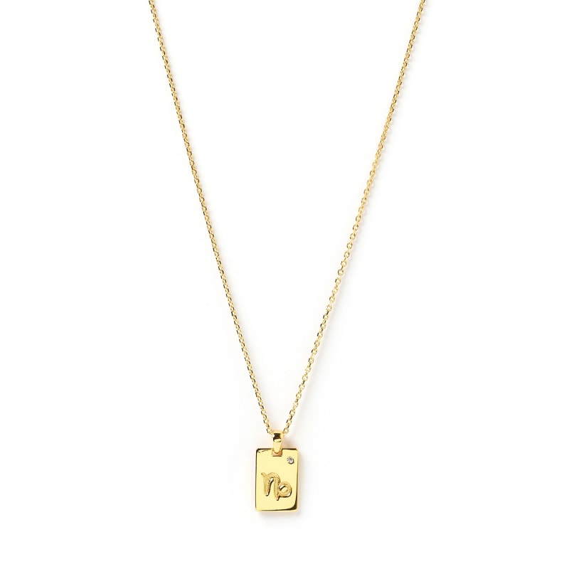 Thumbnail of Capricorn Zodiac Gold Tag Necklace image