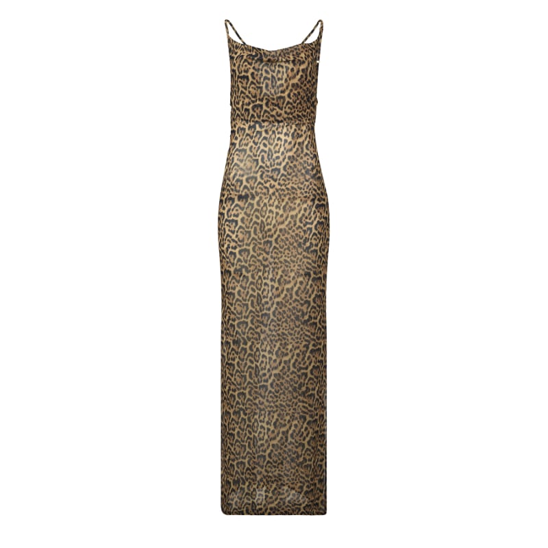 Sheer leopard dress on sale