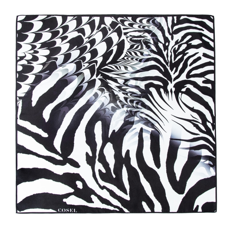 Thumbnail of Scarf Zebra image