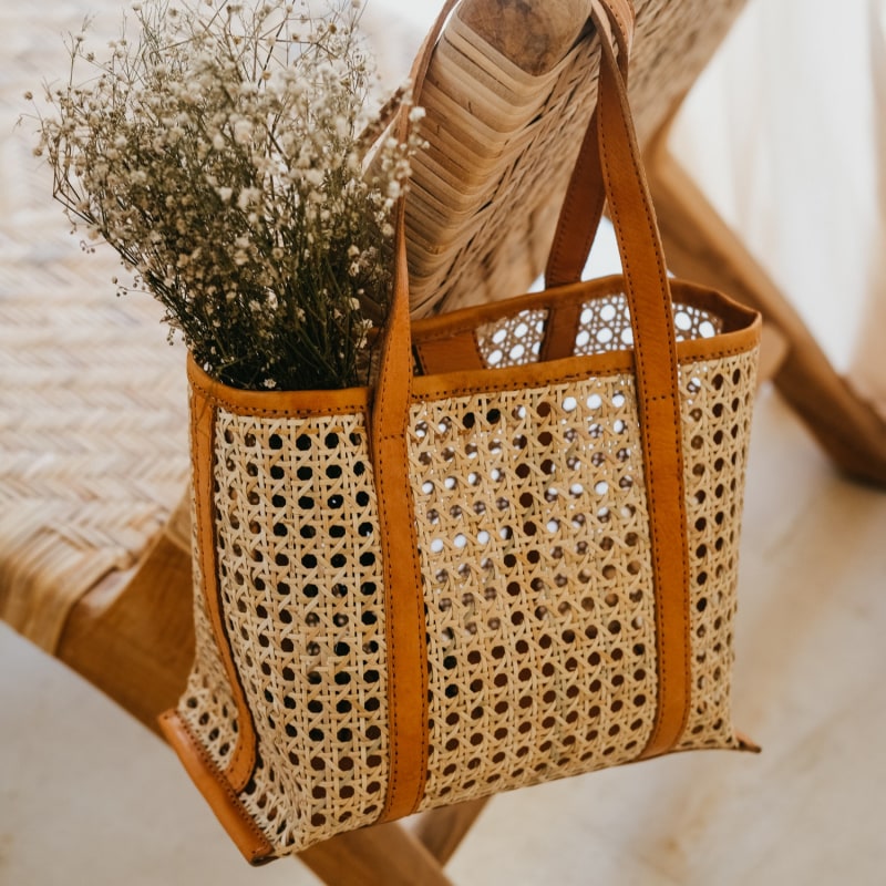 Alma Cane and Leather Mini Tote in Tan