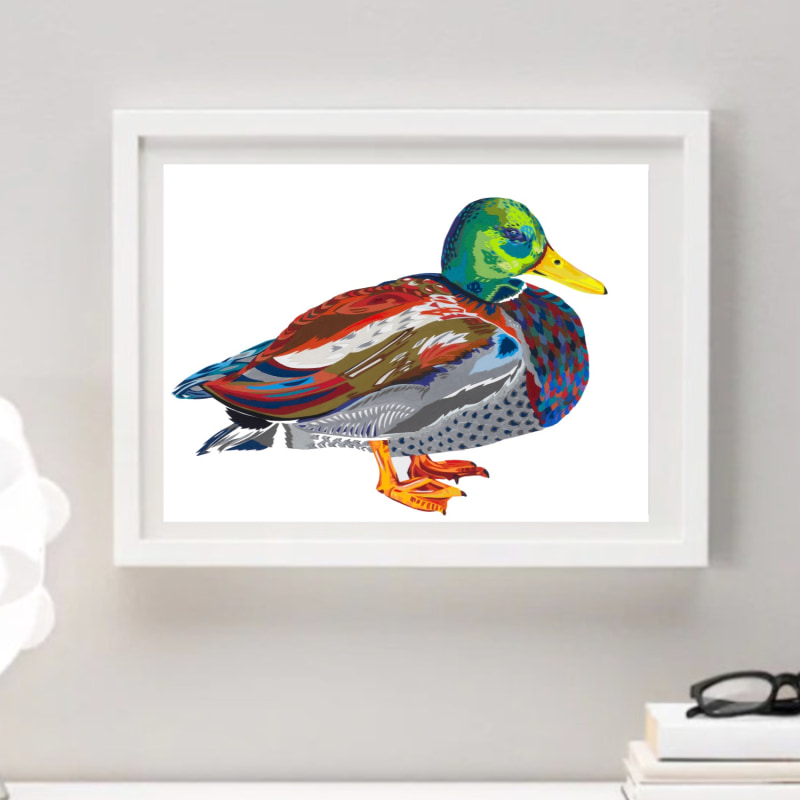 Thumbnail of Mallard Duck Limited Edition Fine Art Print Small image