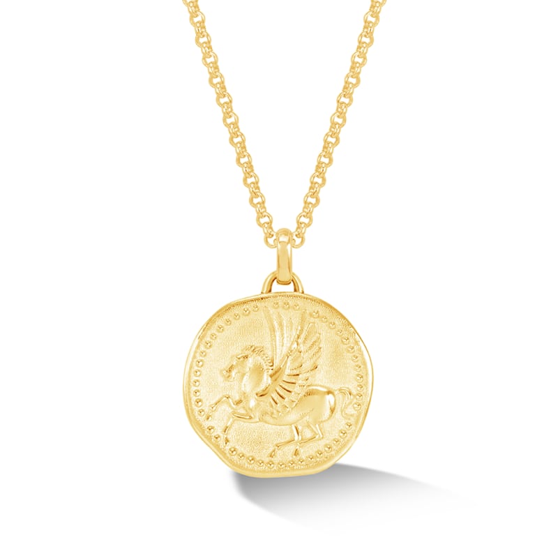 Thumbnail of Men's Overcome And Thrive Pegasus Talisman Necklace In Vermeil image