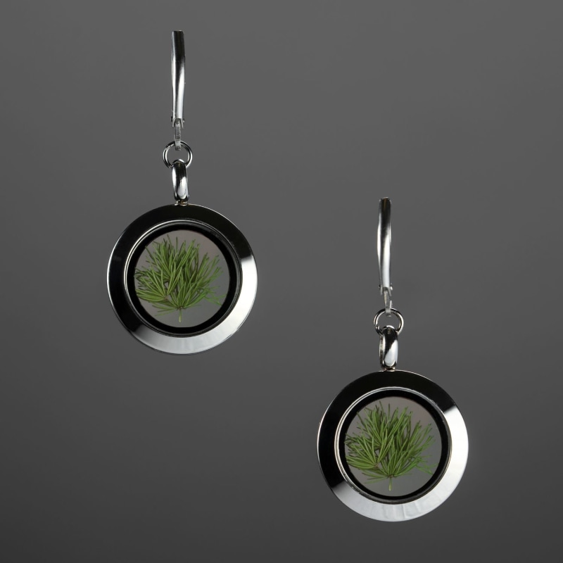 Thumbnail of Natural Green Pine Tree Needles Stainless Steel Dangle Earrings Midi - Forever Young image